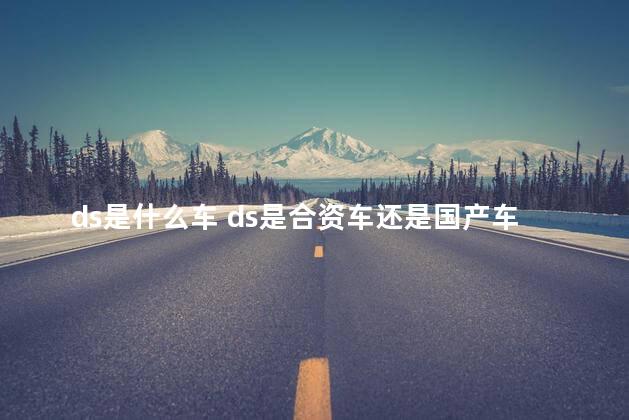 ds是什么车 ds是合资车还是国产车